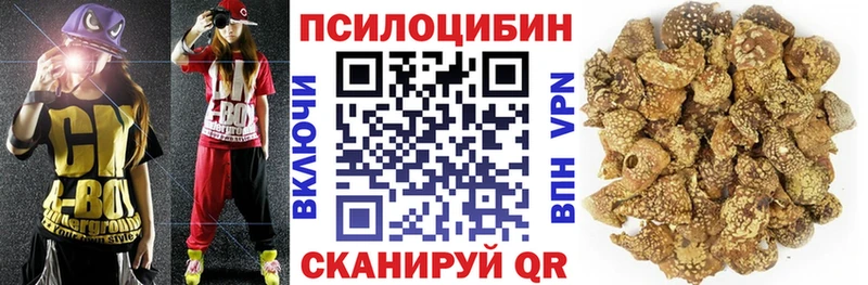 Галлюциногенные грибы прущие грибы  Купить  Бирюч 